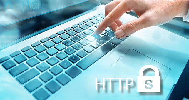 website security services sonoma county